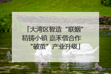 大湾区智造“联姻”精铸小镇 嘉禾借合作“破茧”产业升级