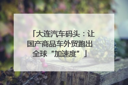 大连汽车码头：让国产商品车外贸跑出全球“加速度”
