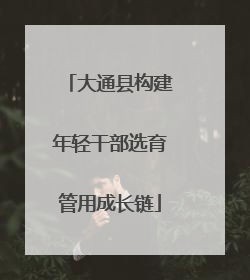 大通县构建年轻干部选育管用成长链