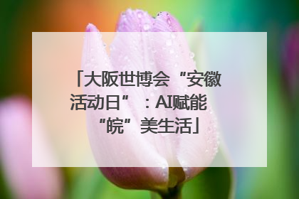 大阪世博会“安徽活动日”：AI赋能“皖”美生活