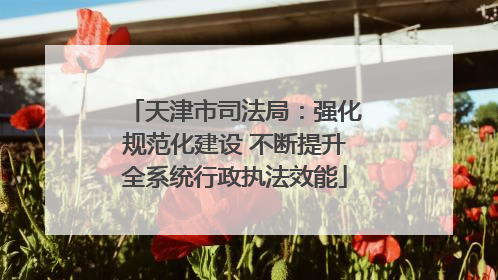 天津市司法局：强化规范化建设 不断提升全系统行政执法效能