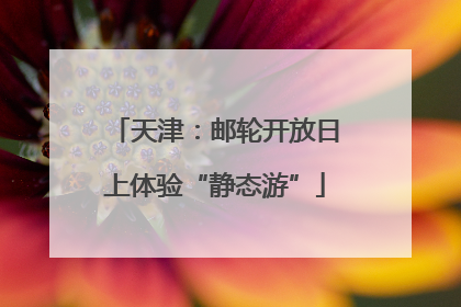 天津：邮轮开放日上体验“静态游”