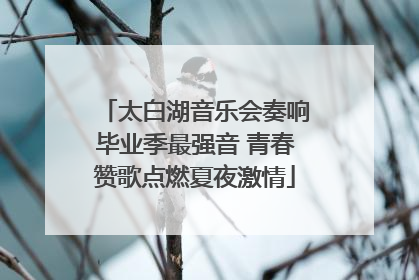 太白湖音乐会奏响毕业季最强音 青春赞歌点燃夏夜激情
