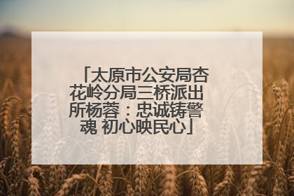 太原市公安局杏花岭分局三桥派出所杨蓉：忠诚铸警魂 初心映民心