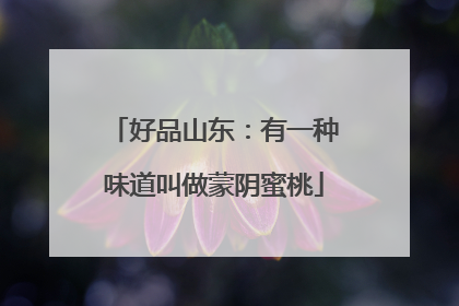 好品山东：有一种味道叫做蒙阴蜜桃