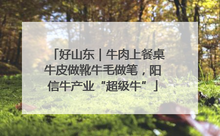 好山东｜牛肉上餐桌牛皮做靴牛毛做笔，阳信牛产业“超级牛”