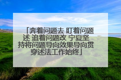 奔着问题去 盯着问题述 追着问题改 宁夏坚持将问题导向效果导向贯穿述法工作始终