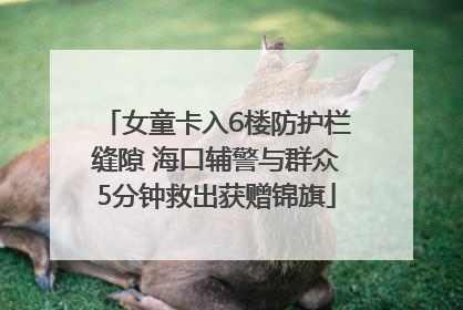 女童卡入6楼防护栏缝隙 海口辅警与群众5分钟救出获赠锦旗
