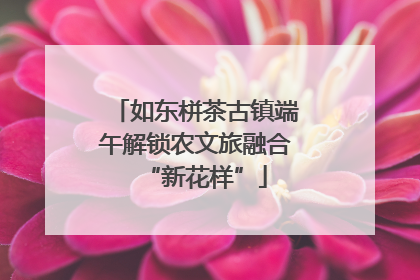 如东栟茶古镇端午解锁农文旅融合“新花样”