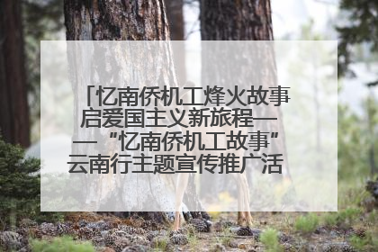 忆南侨机工烽火故事 启爱国主义新旅程——“忆南侨机工故事”云南行主题宣传推广活动圆满收官