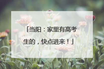 当阳：家里有高考生的，快点进来！