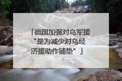 德国加强对乌军援 “是为减少对乌经济援助作铺垫”