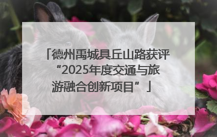 德州禹城具丘山路获评“2025年度交通与旅游融合创新项目”