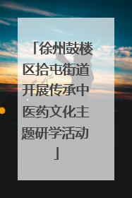 徐州鼓楼区拾屯街道开展传承中医药文化主题研学活动