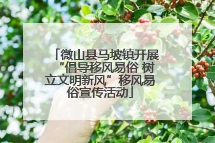 微山县马坡镇开展“倡导移风易俗 树立文明新风”移风易俗宣传活动