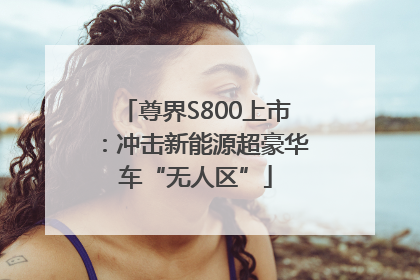 尊界S800上市：冲击新能源超豪华车“无人区”