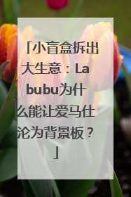 小盲盒拆出大生意：Labubu为什么能让爱马仕沦为背景板？