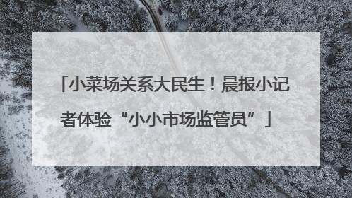 小菜场关系大民生！晨报小记者体验“小小市场监管员”