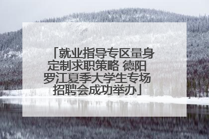 就业指导专区量身定制求职策略 德阳罗江夏季大学生专场招聘会成功举办