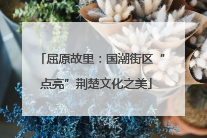 屈原故里：国潮街区“点亮”荆楚文化之美