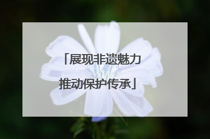 展现非遗魅力 推动保护传承
