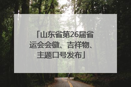 山东省第26届省运会会徽、吉祥物、主题口号发布