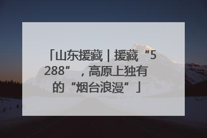 山东援藏｜援藏“5288”，高原上独有的“烟台浪漫”