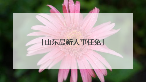 山东最新人事任免