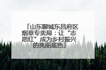 山东聊城东昌府区烟草专卖局：让“志愿红”成为乡村振兴的亮丽底色