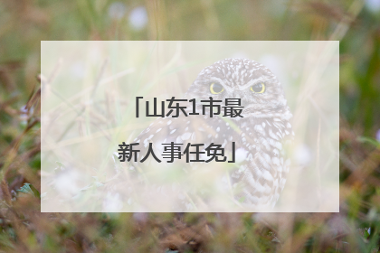 山东1市最新人事任免