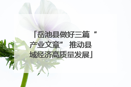 岳池县做好三篇“产业文章” 推动县域经济高质量发展