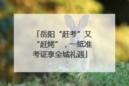 岳阳“赶考”又“赶烤”，一纸准考证享全城礼遇