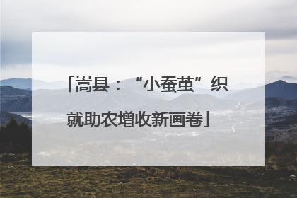 嵩县：“小蚕茧”织就助农增收新画卷