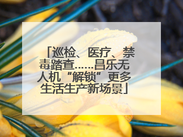 巡检、医疗、禁毒踏查……昌乐无人机“解锁”更多生活生产新场景