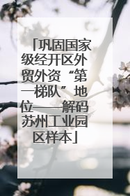 巩固国家级经开区外贸外资“第一梯队”地位——解码苏州工业园区样本