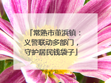 常熟市董浜镇：义警联动多部门，守护居民钱袋子