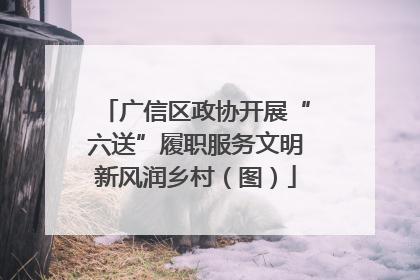 广信区政协开展“六送”履职服务文明新风润乡村（图）