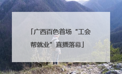广西百色首场“工会帮就业”直播落幕