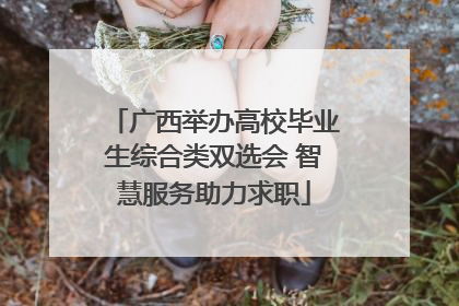 广西举办高校毕业生综合类双选会 智慧服务助力求职