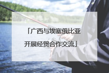 广西与埃塞俄比亚开展经贸合作交流