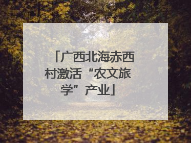 广西北海赤西村激活“农文旅学”产业