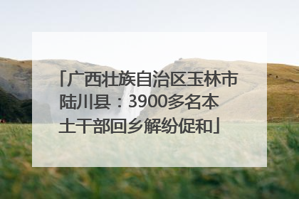 广西壮族自治区玉林市陆川县：3900多名本土干部回乡解纷促和