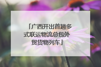 广西开出首趟多式联运物流总包外贸货物列车
