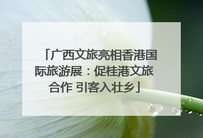 广西文旅亮相香港国际旅游展：促桂港文旅合作 引客入壮乡