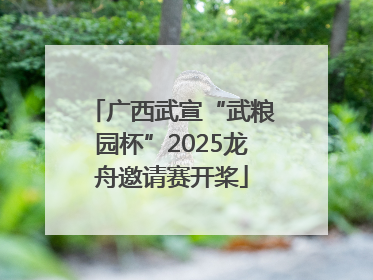 广西武宣“武粮园杯”2025龙舟邀请赛开桨