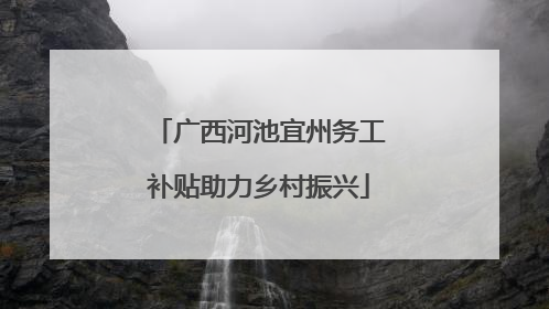 广西河池宜州务工补贴助力乡村振兴