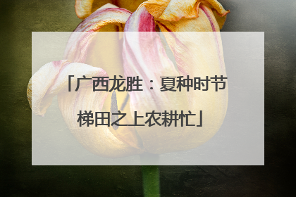广西龙胜：夏种时节 梯田之上农耕忙