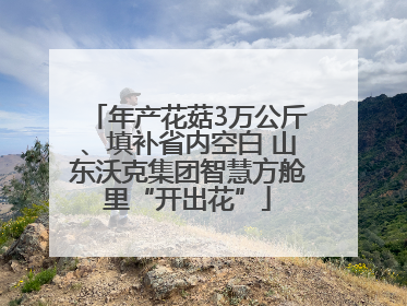 年产花菇3万公斤、填补省内空白 山东沃克集团智慧方舱里“开出花”