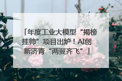 年度工业大模型“揭榜挂帅”项目出炉！AI创新济青“两翼齐飞”