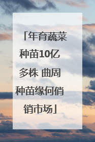 年育蔬菜种苗10亿多株 曲周种苗缘何俏销市场